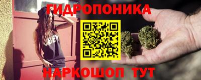 шишки Волжск