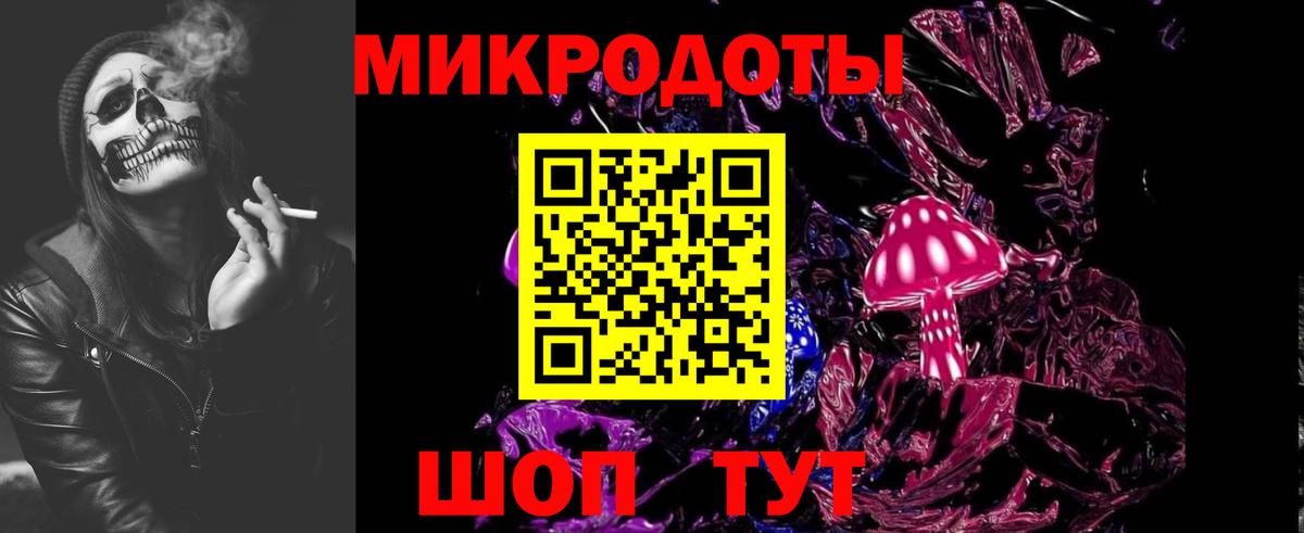 Галлюциногенные грибы Psilocybe Реутов